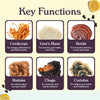 Grüns- Nütrops Functional Mushroom Gummies (3 Daily Packs)